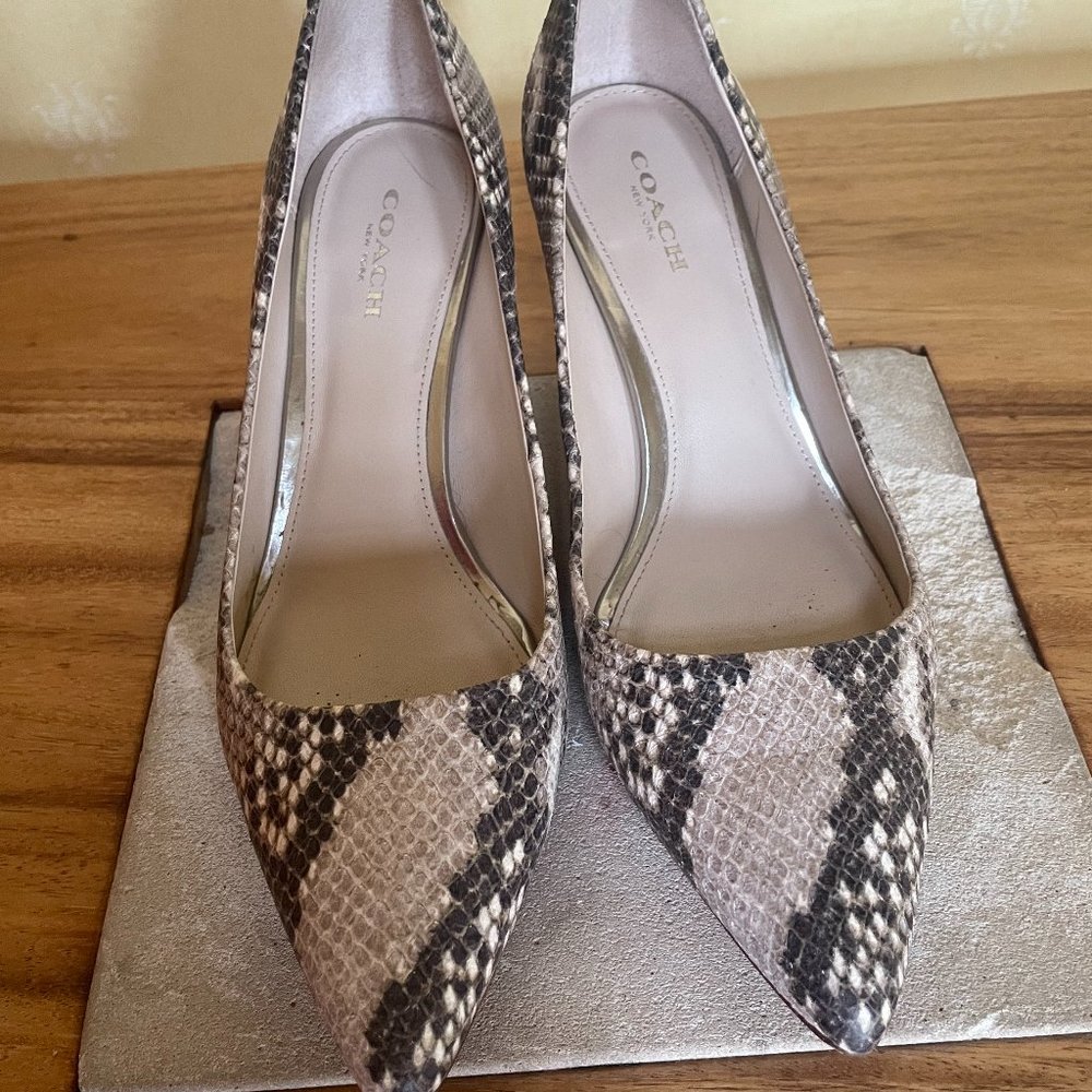 Coach Roccia Snakeskin Print pump size 6.5